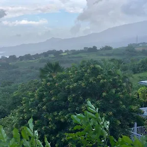 Chalet Mango, Le Carbet